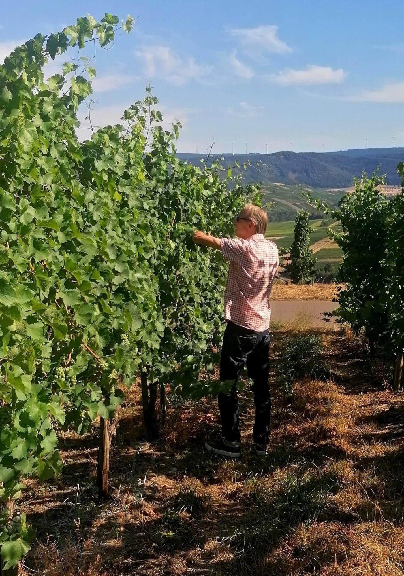 Bed and Breakfast Weingut Tiliahof Brauneberg Zewnętrze zdjęcie