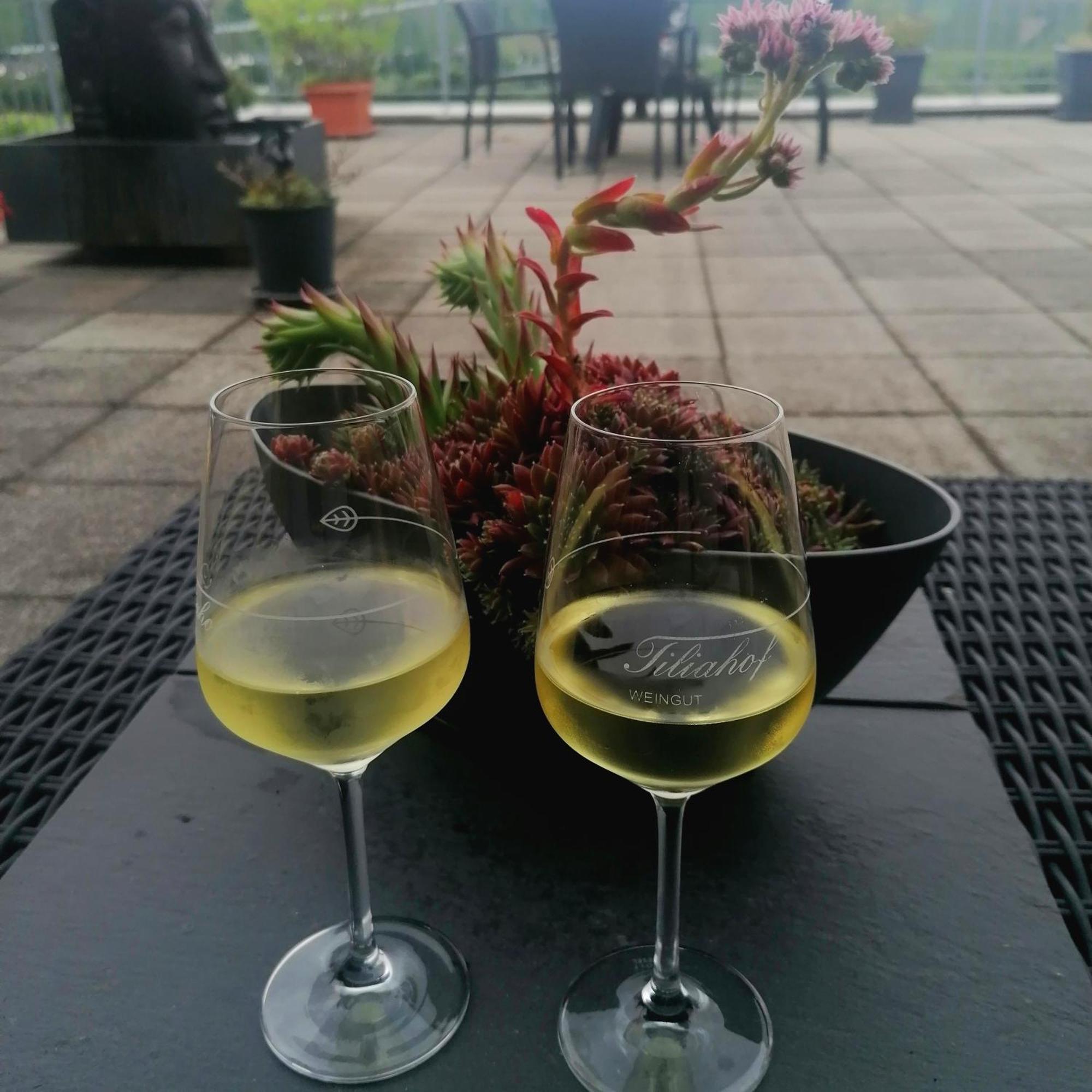 Bed and Breakfast Weingut Tiliahof Brauneberg Zewnętrze zdjęcie