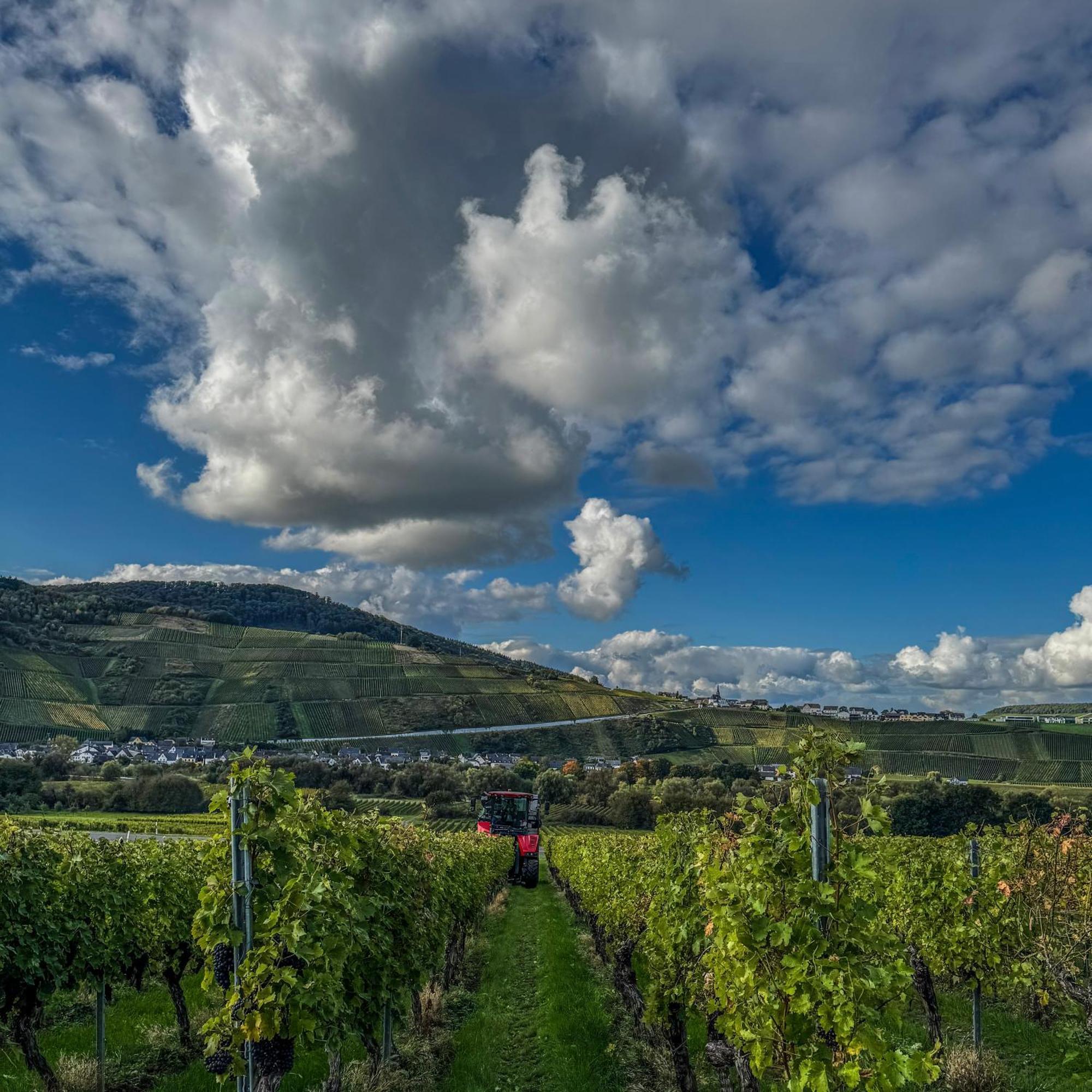 Bed and Breakfast Weingut Tiliahof Brauneberg Zewnętrze zdjęcie